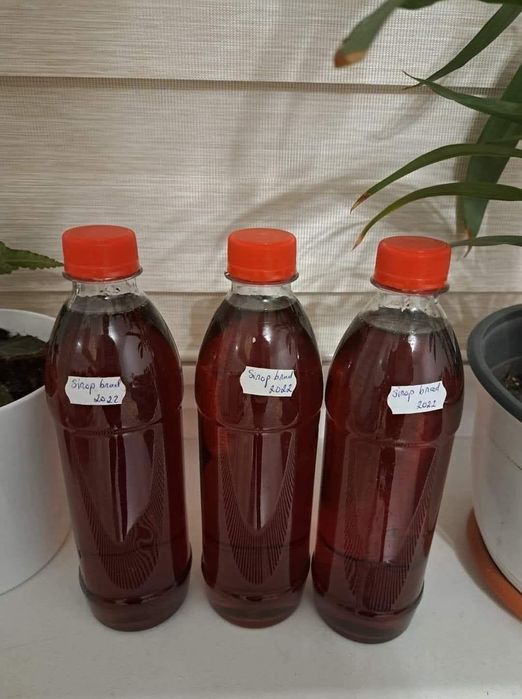 Sirop din muguri de brad