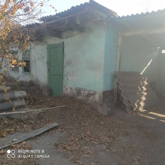 Бузиб олиш учун уй