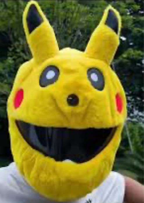 Huse amuzante pentru casca moto