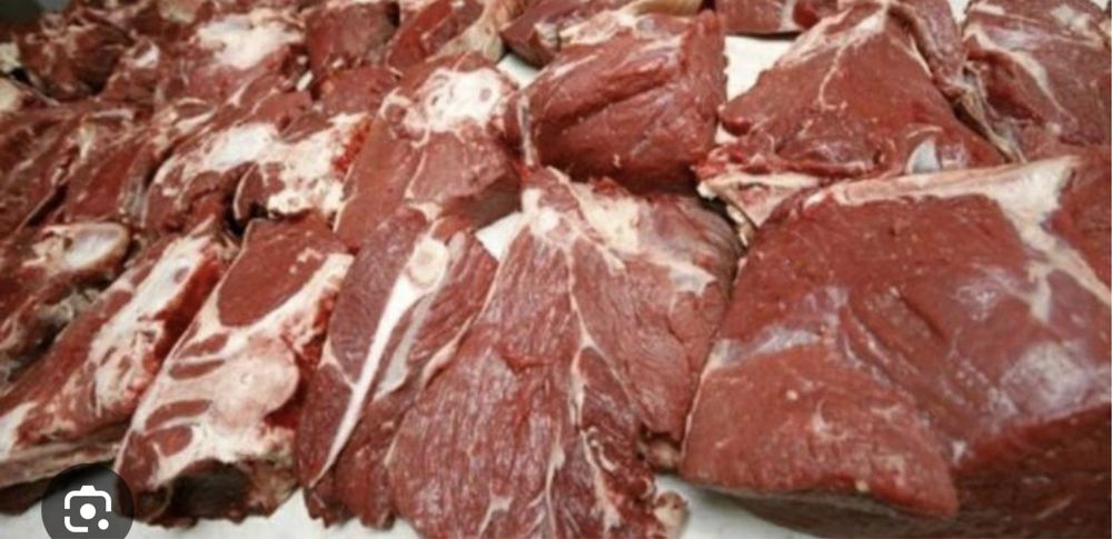 Касапшы ет жиликтеу сиыр жвлкы кой