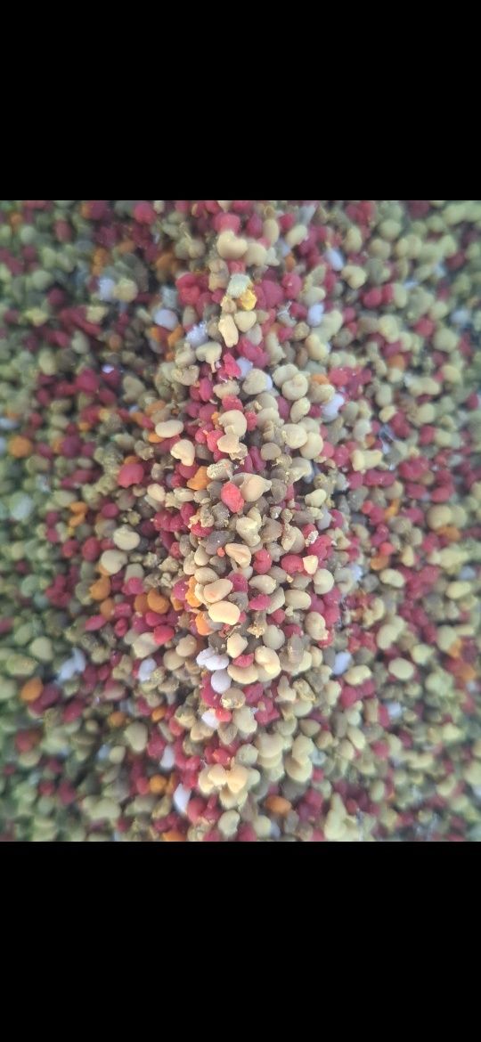 Vând polen crud, dulce cu o aromă deosebită. 
Producție 2025.
Polen pă