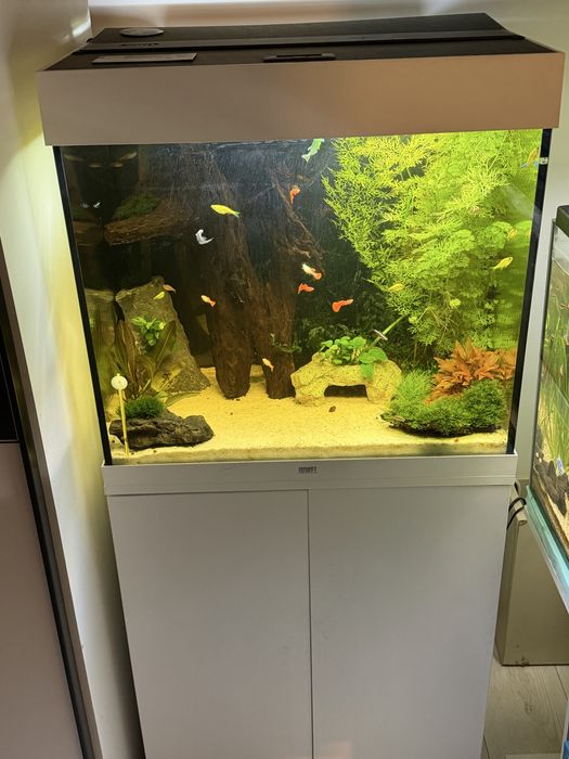 Acvariu Juwel 120 litri