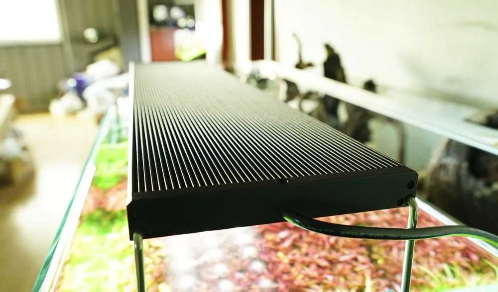 Светильник Chihiros WRGB II black 60 см