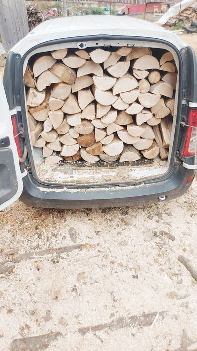 Vând lemne de foc fag și stejar ,uscate și verzi !!