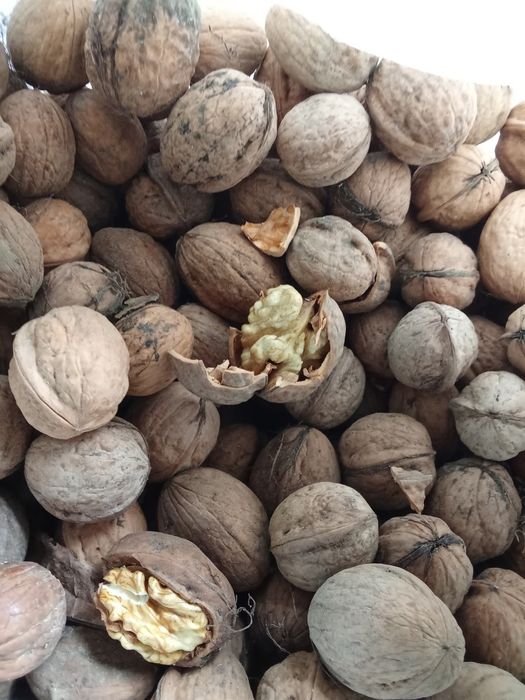 Vând nuca de anul acesta!