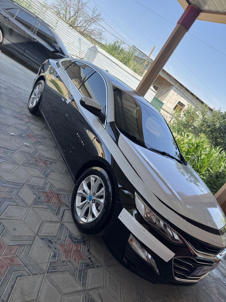 Malibu malibu premer 2022