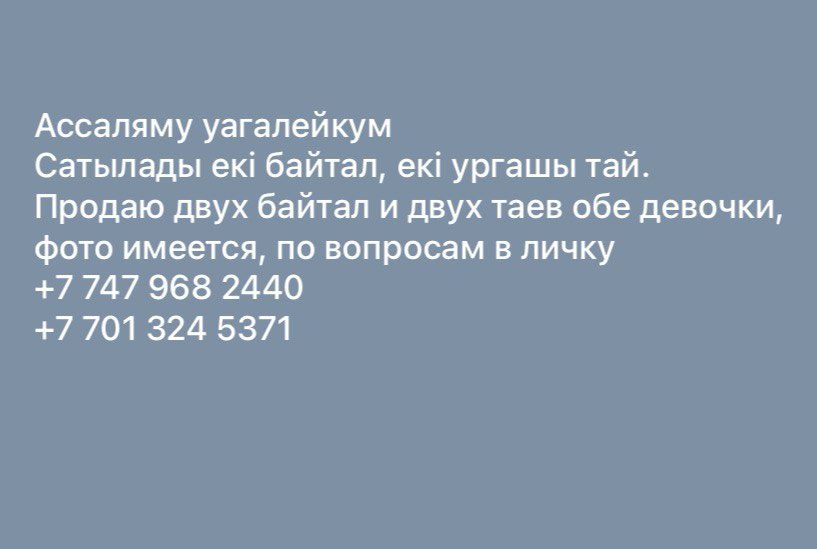 Продажа лошадей есть торг и фото при обращении