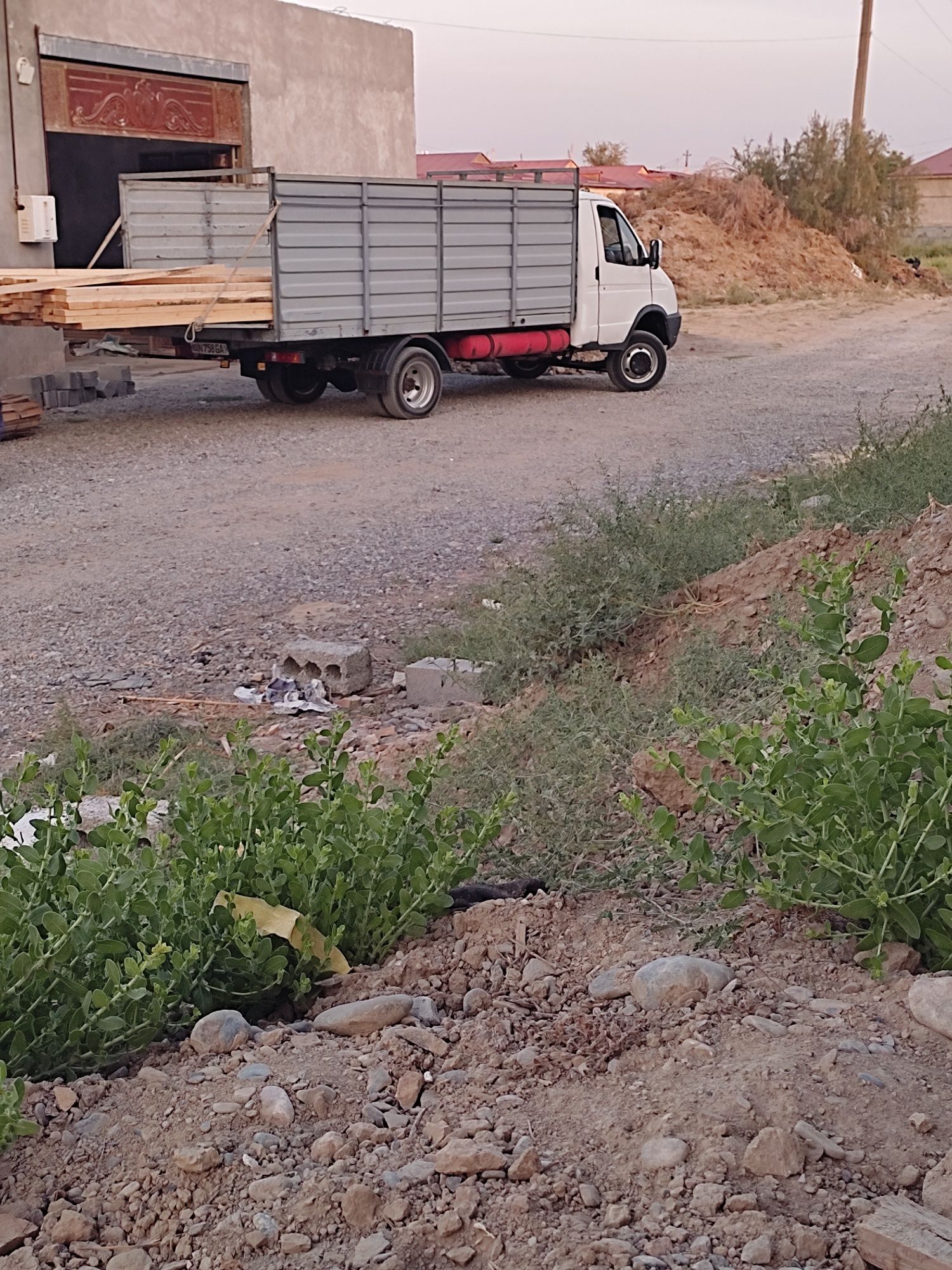 Gazel holati yaxshi