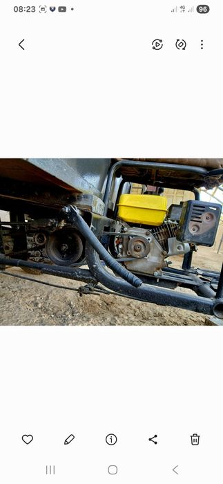 Муравей в хорошем состоянии