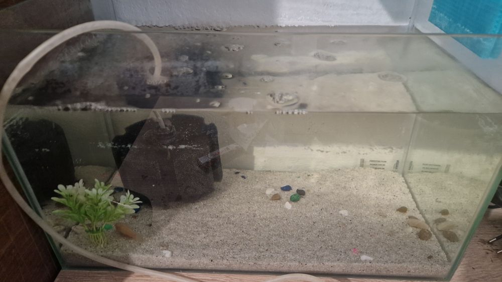 Acvariu 30L,dau si cei 2 pesti sanitari(de geam si nisip)mancare,nisip