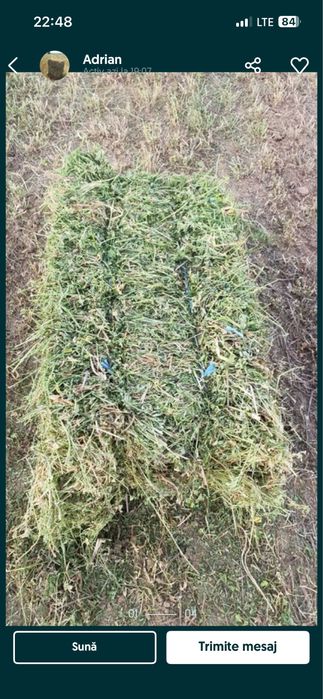 Baloti lucerna sau paie