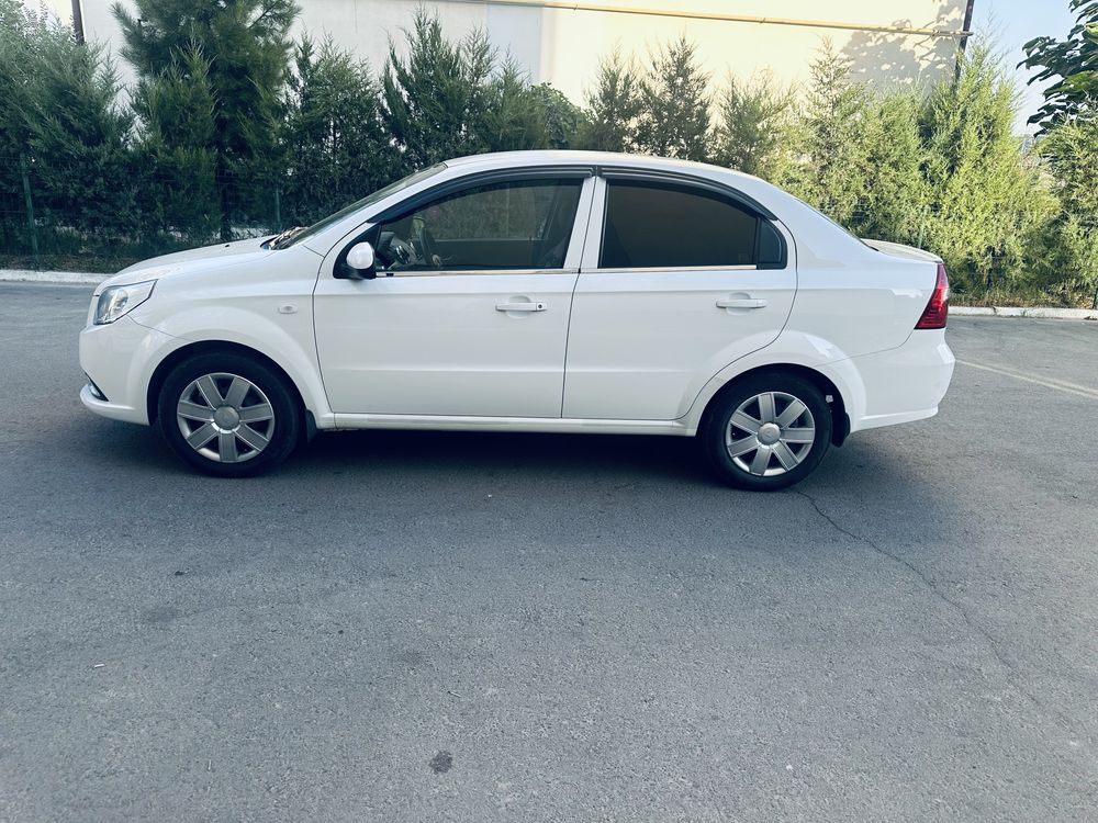 nexia 3 kraska tozza