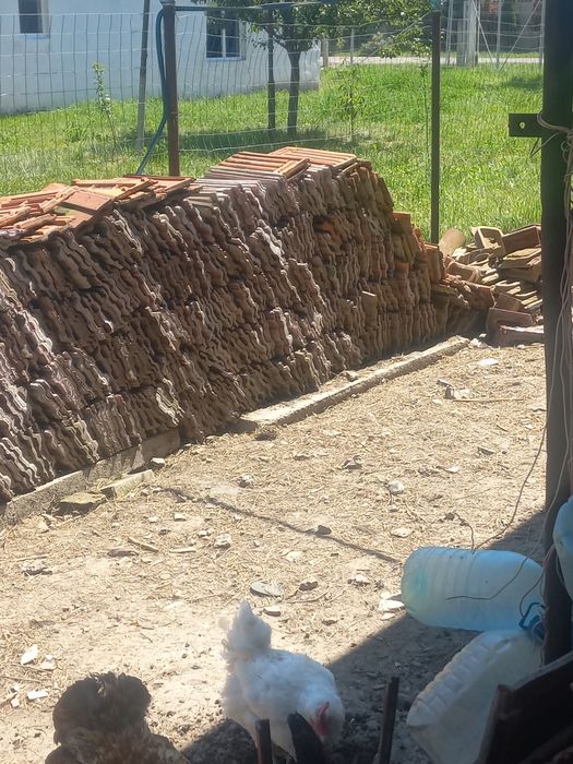 Țigle utilizate 1 leu bucata.