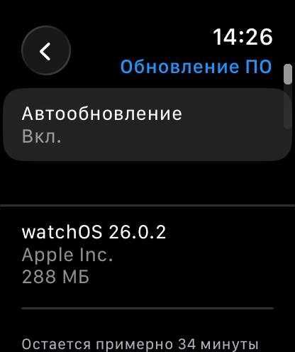 Apple Watch 10 46MM 100%