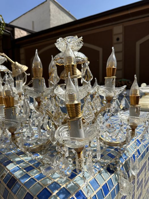 Lyustralar har xil turdagi