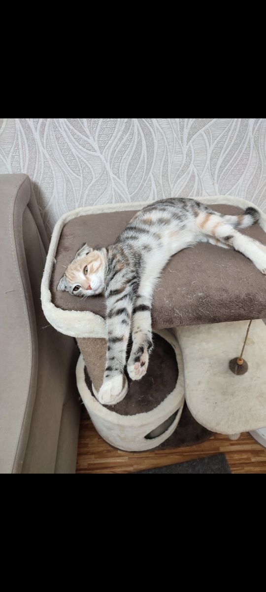 В самую добрую семью