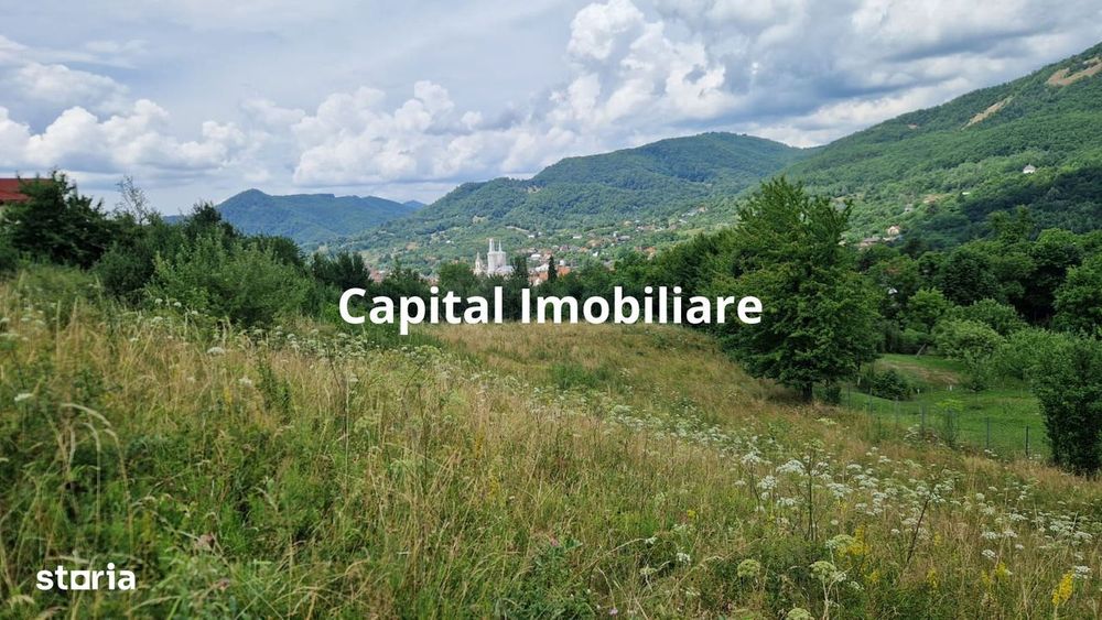 Teren de vanzare in Baia Sprie: 52 Ari, Parcelabil, Comision 0%