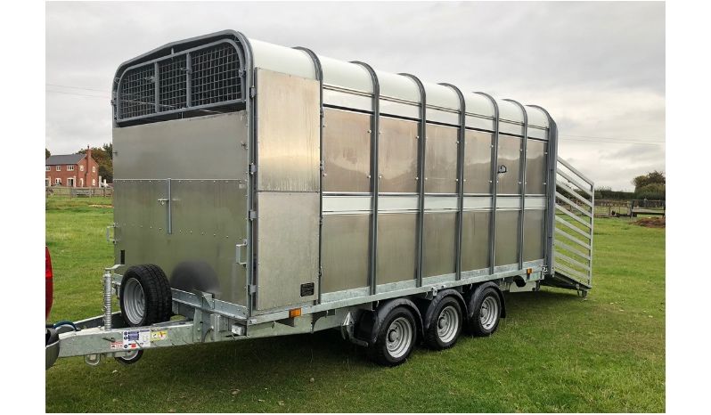 Transport animale vii autorizat