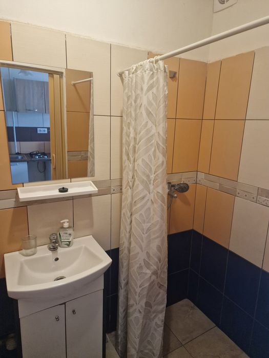 Dau in chirie garsoniera pe Calea Borsului