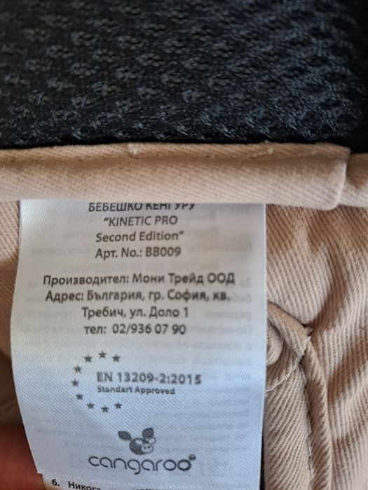 Раница-кенгуру Cangaroo Kinetic Pro