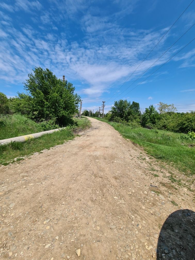 MOSOAIA  // TEREN  4833 MP // lângă pădure  !!!