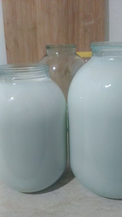 Молоко коровье продам