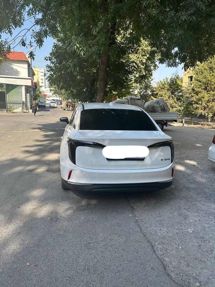 Hongqi E-Qm 5 kv 500 km