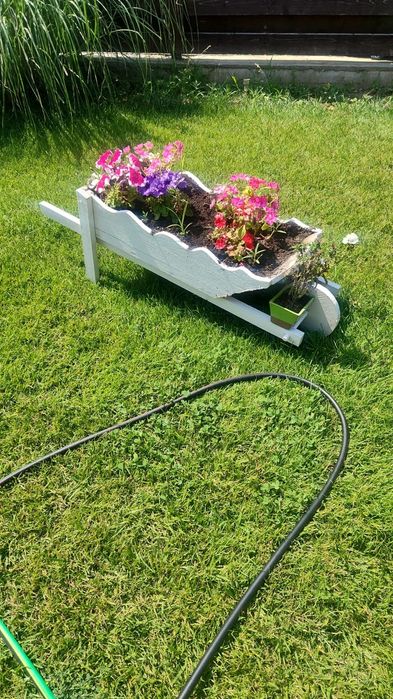 Coteț câine Chitila