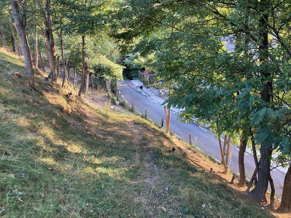 Teren Brezoi Valcea pretabil cabana