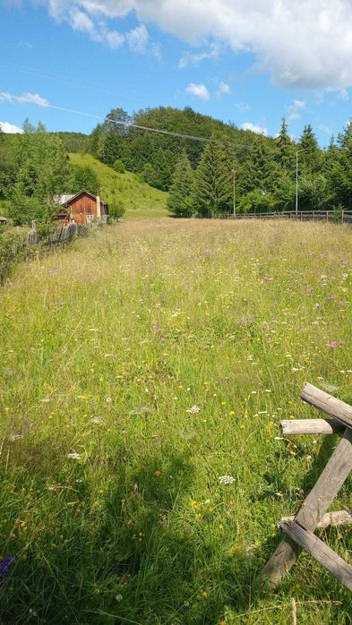 Teren Valea Doftanei