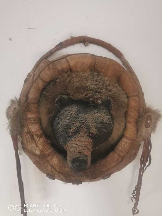 Tabloui cap de urs cu tenta indiana