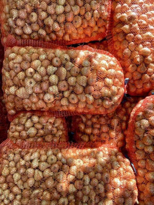 Ceapă galbenă pentru solar