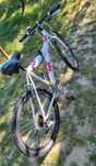 Bicicleta cu flori roz.