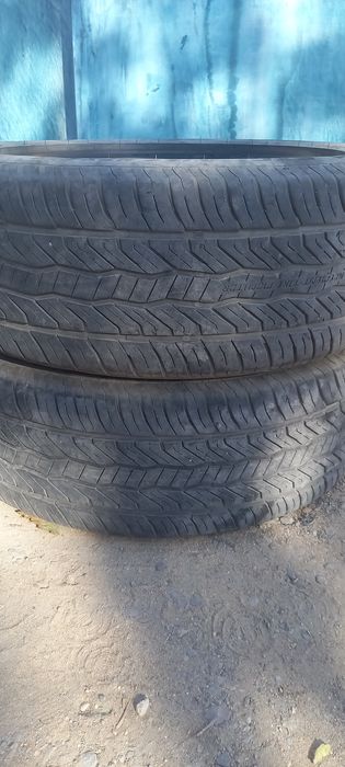 Шины всесезонка в нормальном состояний