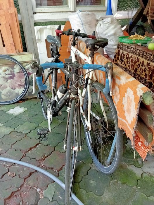 Cursiera Premier Carbon .Predare personala.