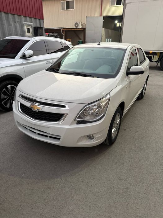 Kobalt arenda bez prabeg