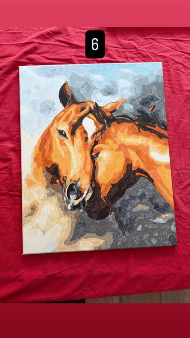 Нарисувани картини по номера