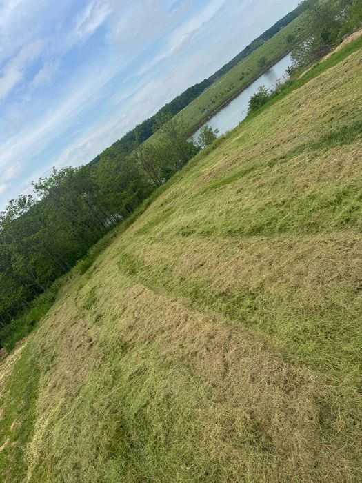 Moara Vlasiei - 11.000 mp, desc lac 36 m, priveliste, 11 EUR/mp