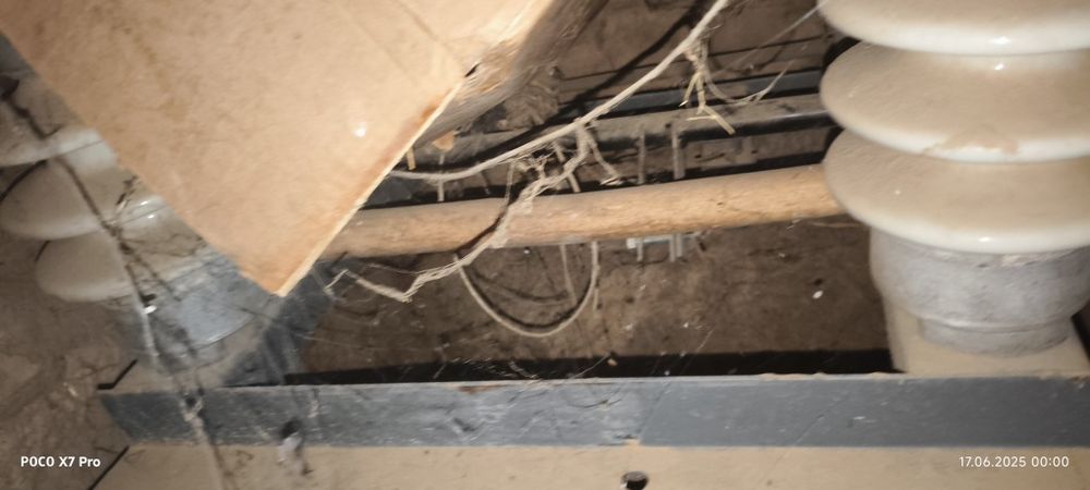 Rubilnik visoki  ajratib qushuvchi