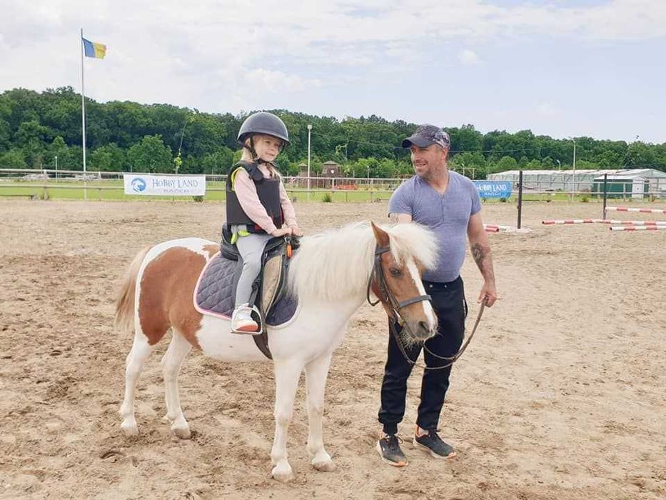 PLIMBARI cu PONEI pentru EVENIMENTE PRIVATE Bucuresti si imprejurimi