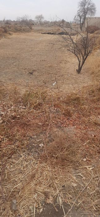 Участка сотилади жондорда