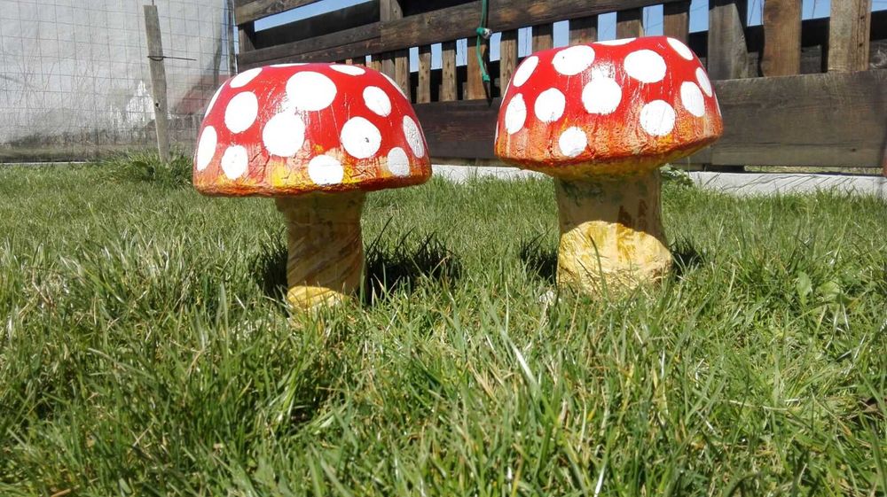 ornament gradina CIUPERCA