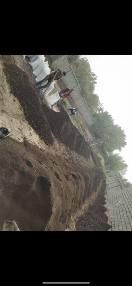Biogumus Биогумус Gazon urug’lariyam bor.