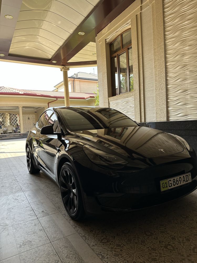 Tesla Model Y 2 ta matorli