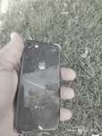Iphone 8 holatini kurib turibsizlar