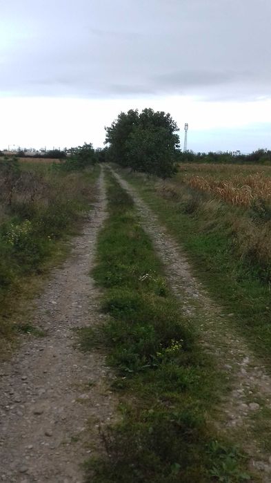 Vand teren intravilan , zona Mihai Bravu, 5,000 m.p.