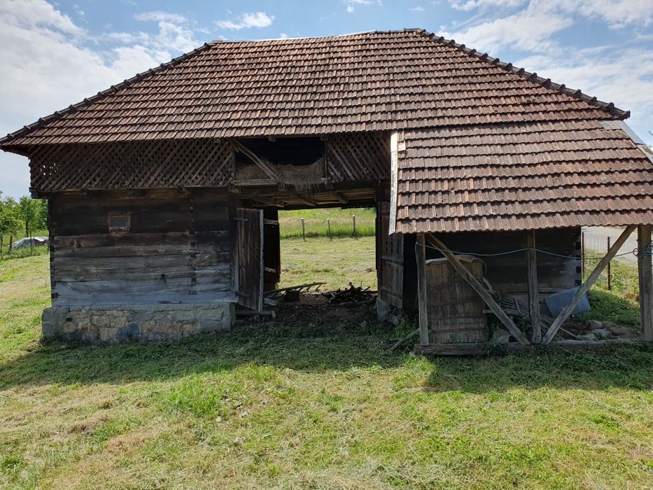 Vând casă cu grădină