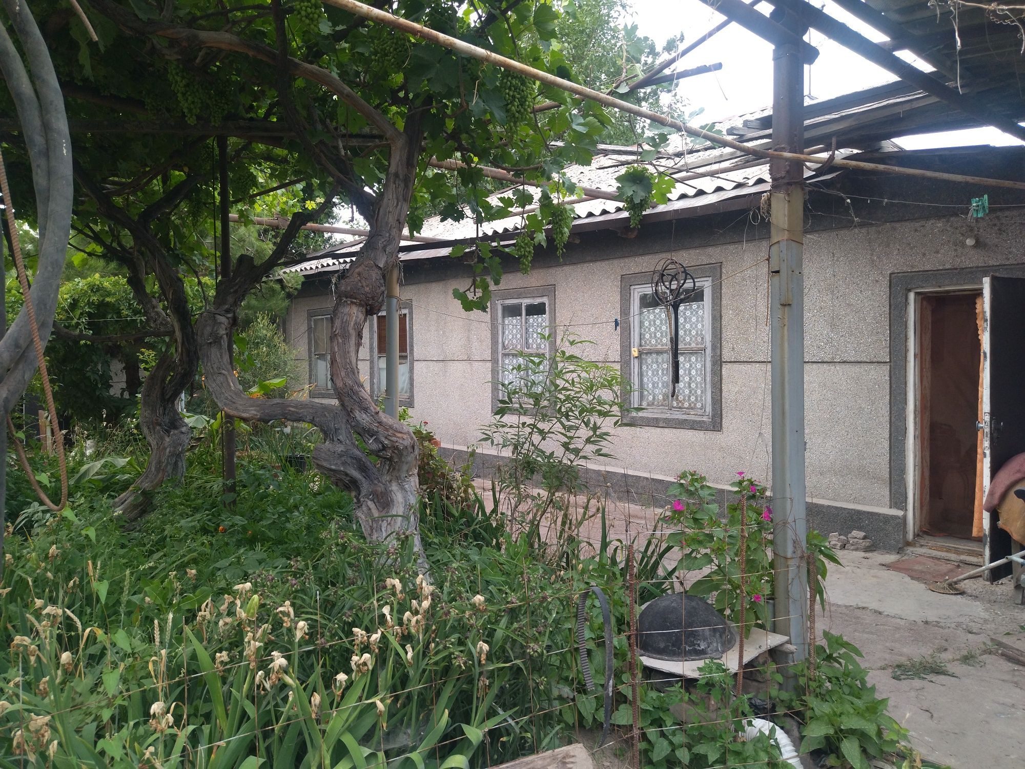 Дом с участком земли