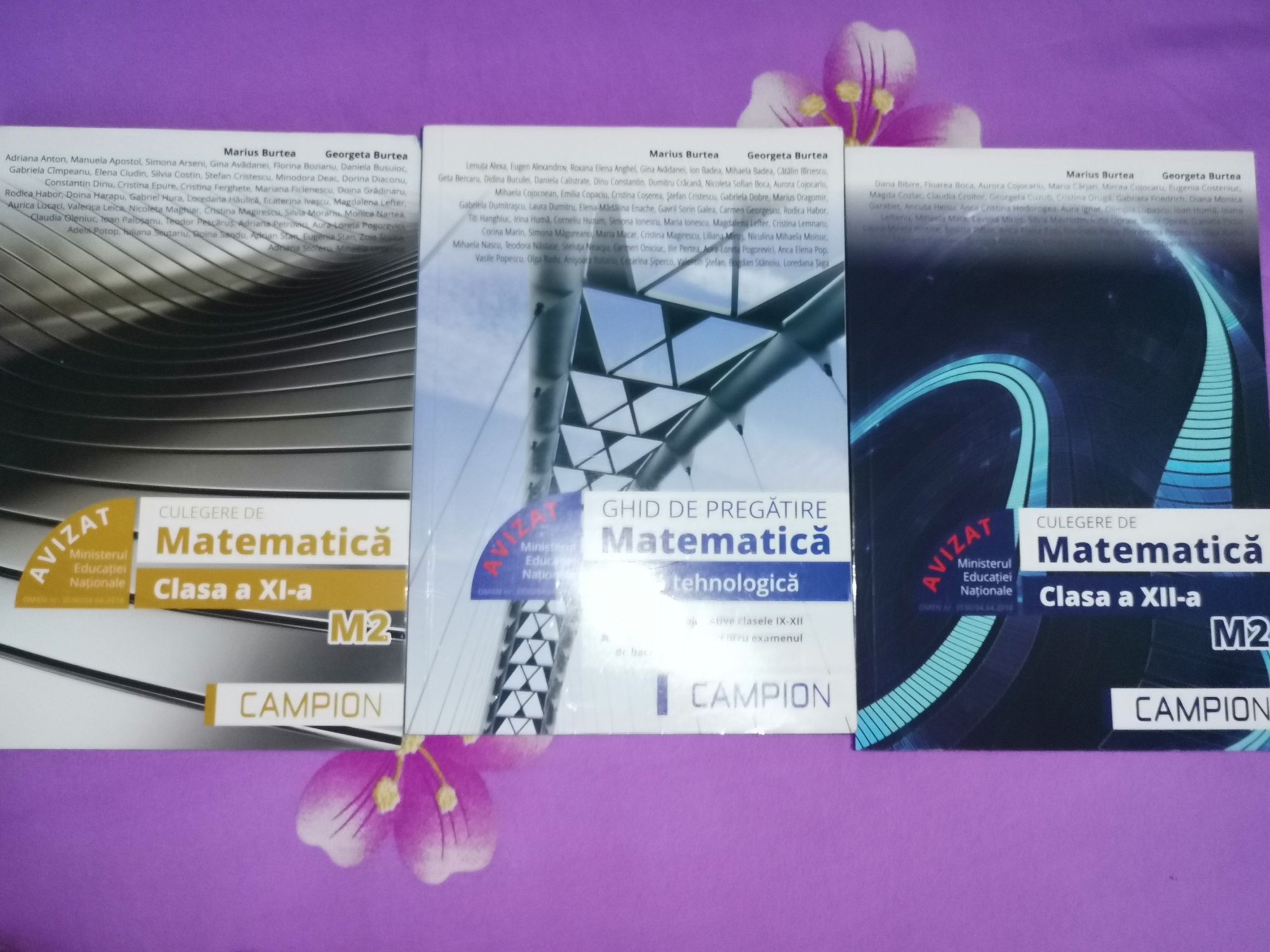 Culegeri, clasa a 11 a, bacalaureat si admitere la politehnica