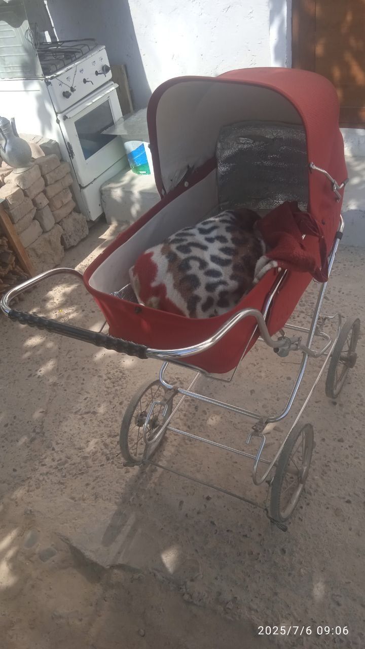 Yangi Kalyaska sotiladi